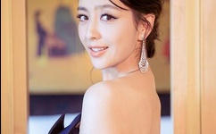 深圳小狼狗gluevy成功案例